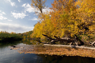 _MG_3044Сентябрь-на-рекеW.jpg